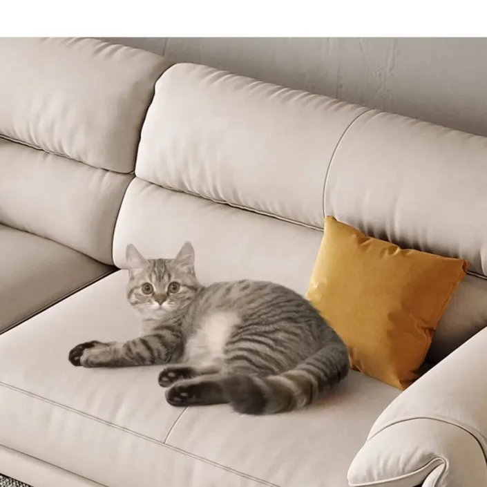 Globe Furnishings - Minimalist Compact Apartment Trendy Down-Filled Tech Fabric Sofa Globe Furnishings - Minimalist Compact Apartment Trendy Down-Filled Tech Fabric Sofa
